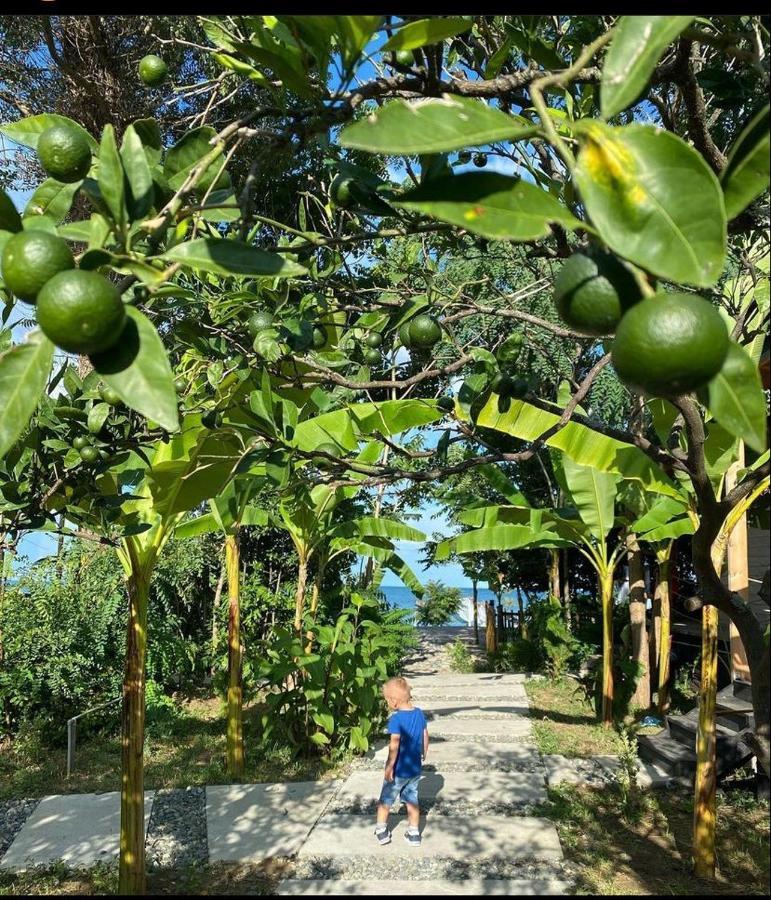Aqua Palm Resort 苏呼米 外观 照片